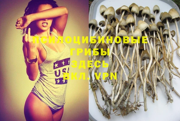 метадон Аркадак