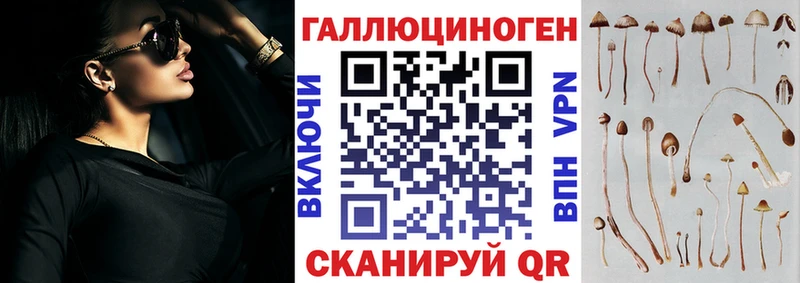 OMG сайт  shop как зайти  Галлюциногенные грибы Psilocybe  Оханск 